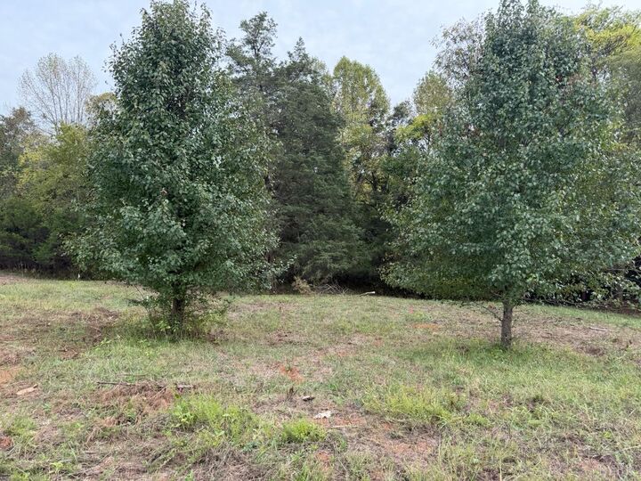 Property Photo:  0 Moneta Road  VA 24121 