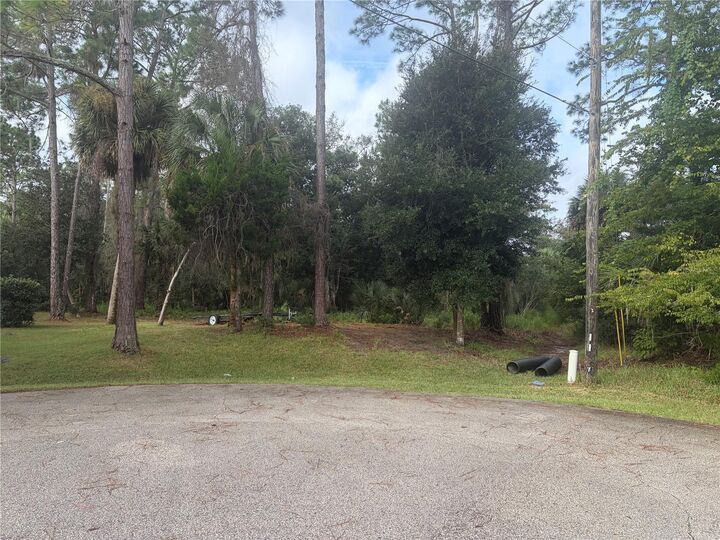 Property Photo: 21 Seckel Court FL 32164
