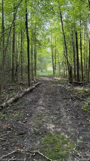 Property Photo: 0000 Cribbins MI 48032