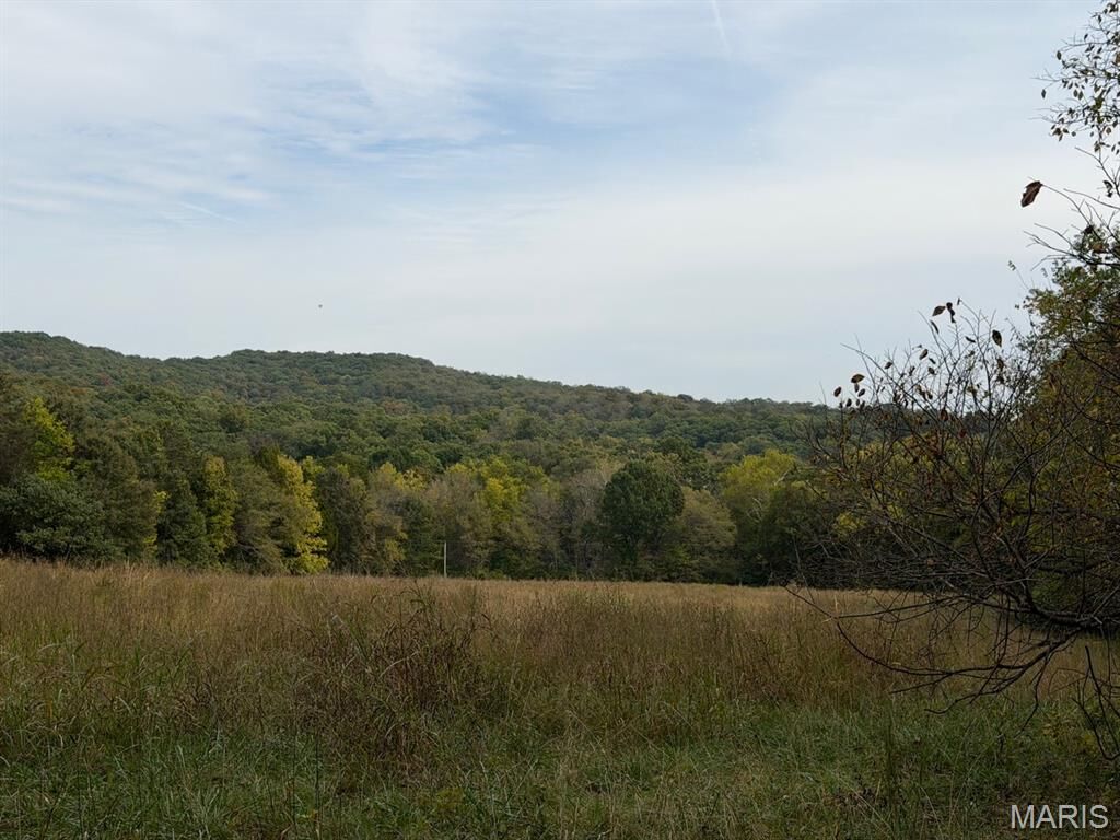 Property Photo:  2 Allen Road  MO 63050 