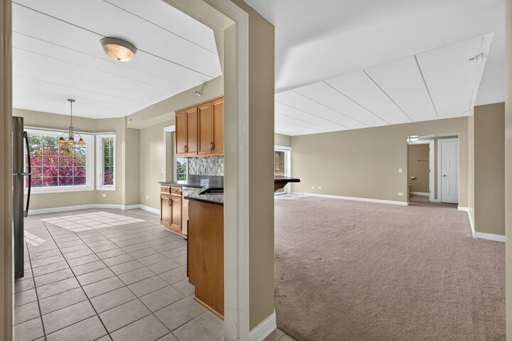 Property Photo: 6675 S Cass Avenue 4C IL 60559