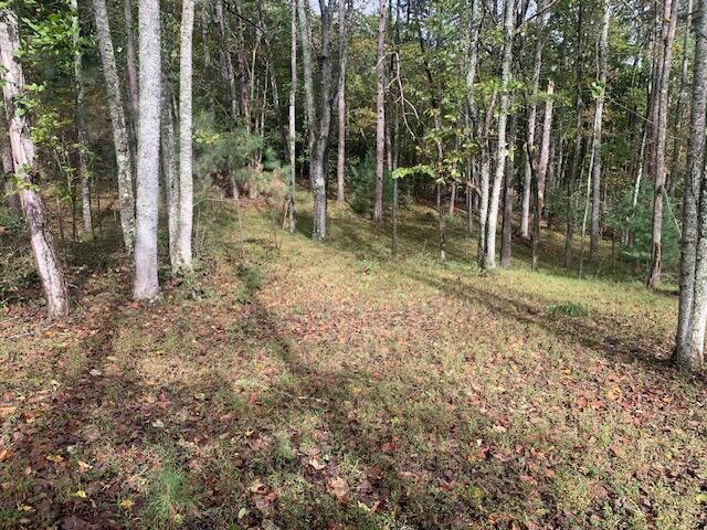 Property Photo:  Lot 132 Fox Cove Road  GA 30512 