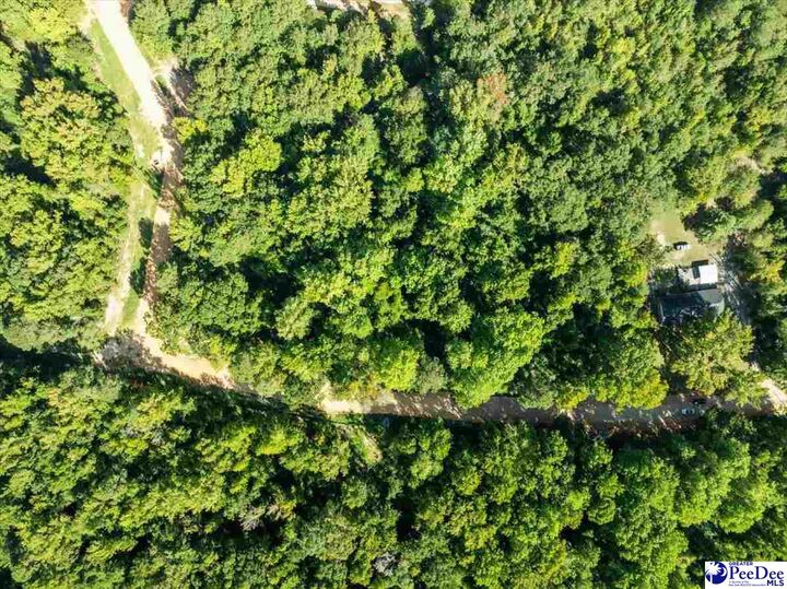 Property Photo:  0000 Jeffrey St. Lot 78  SC 29520 