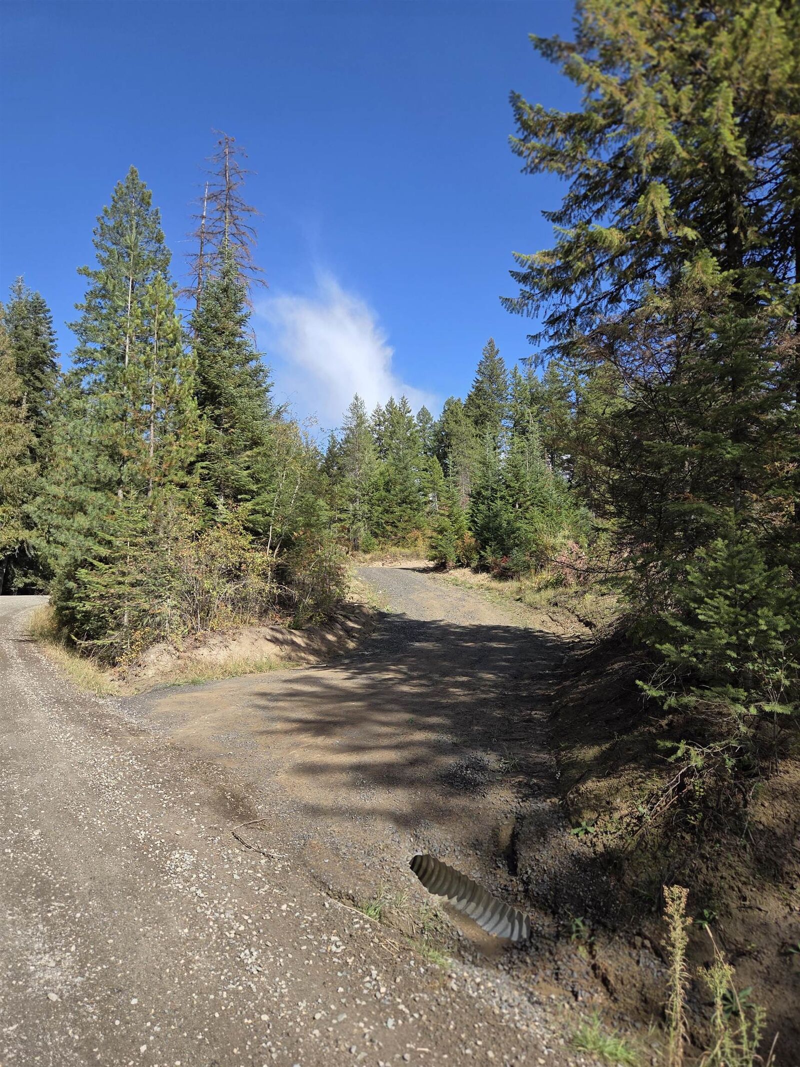 Property Photo:  20866 N Mt Carlton Rd  WA 99021 