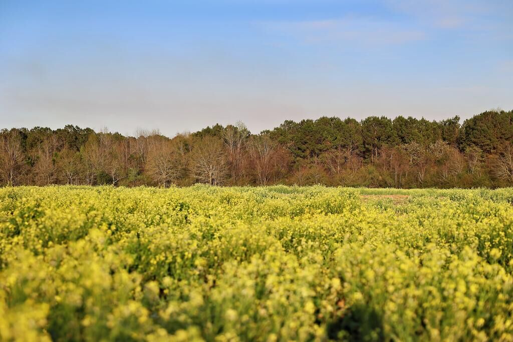 Property Photo:  00 Union Hill Rd.  GA 39828 