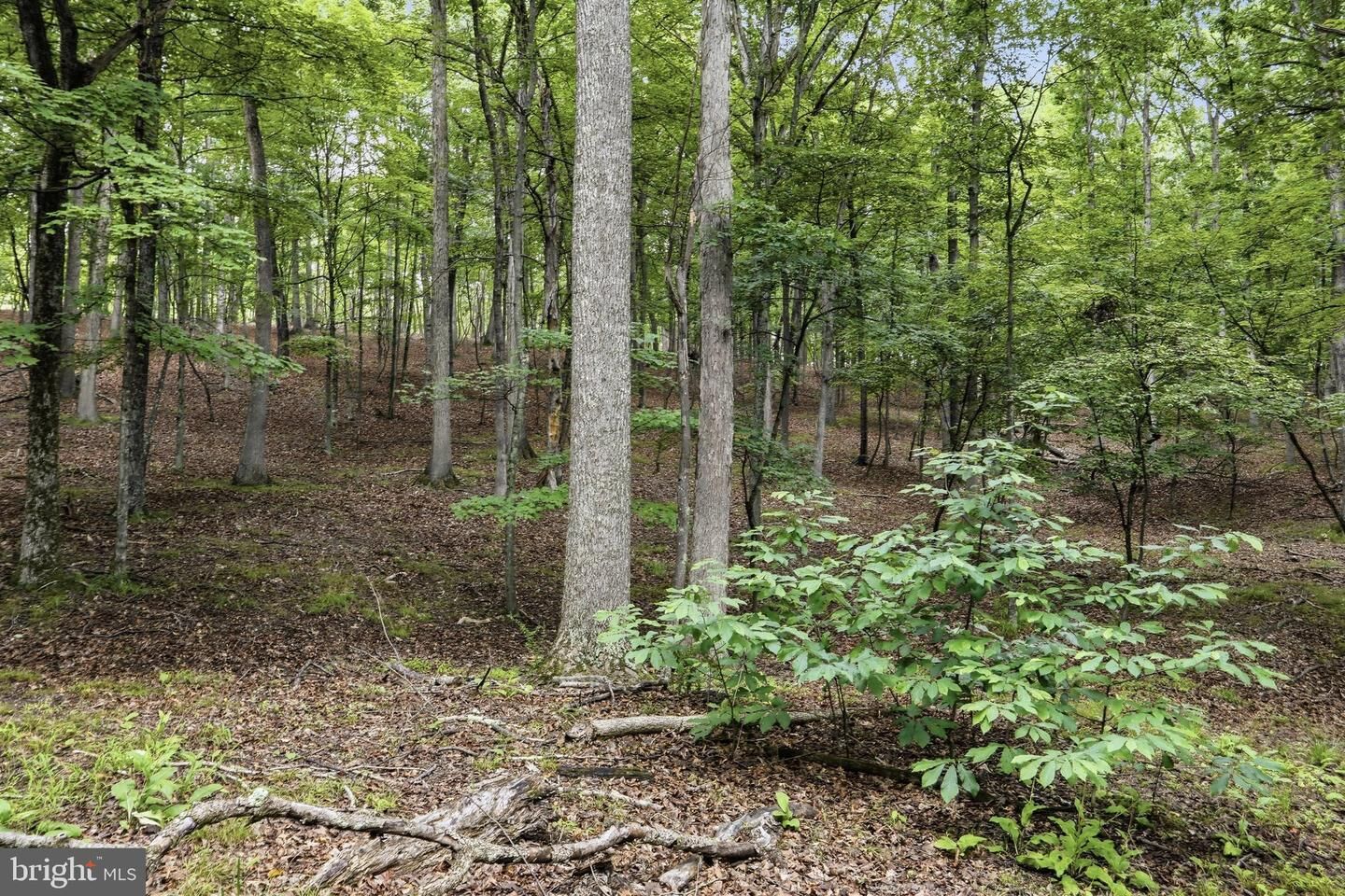 Property Photo:  0 Pioneer Trail Trail  WV 25422 