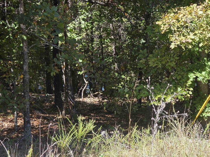 Property Photo:  L-78, B-2 San Juan Trail  AR 72529 