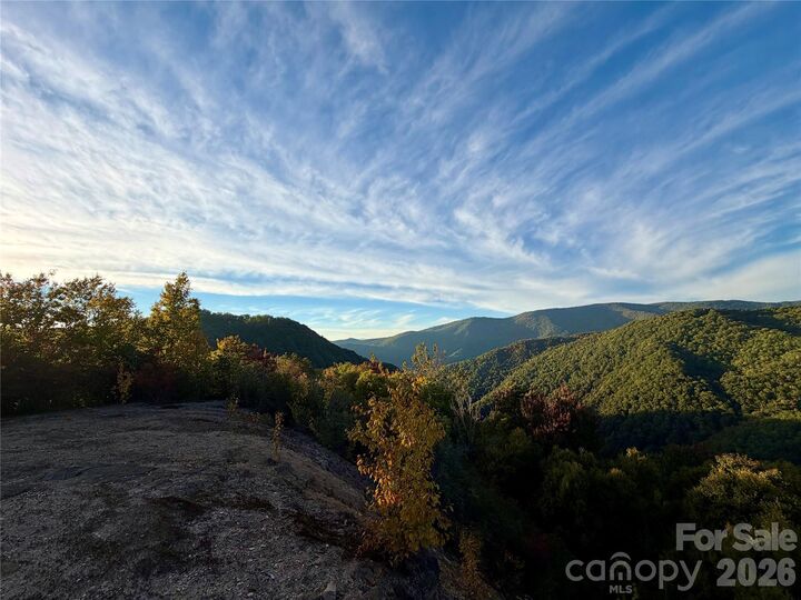 Property Photo:  Lot # 42 Black Rock Creek Road  NC 28779 