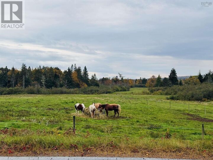 Property Photo:  489 Prospect Road  NS B0M 1S0 