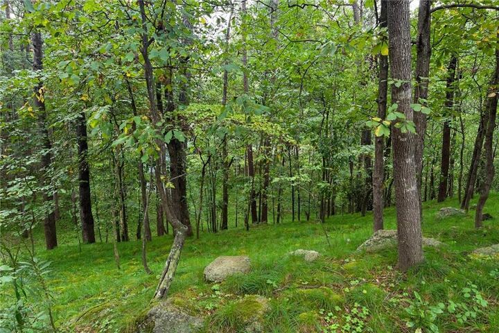 Property Photo:  360 Spyglass Bluff Drive  GA 30022 