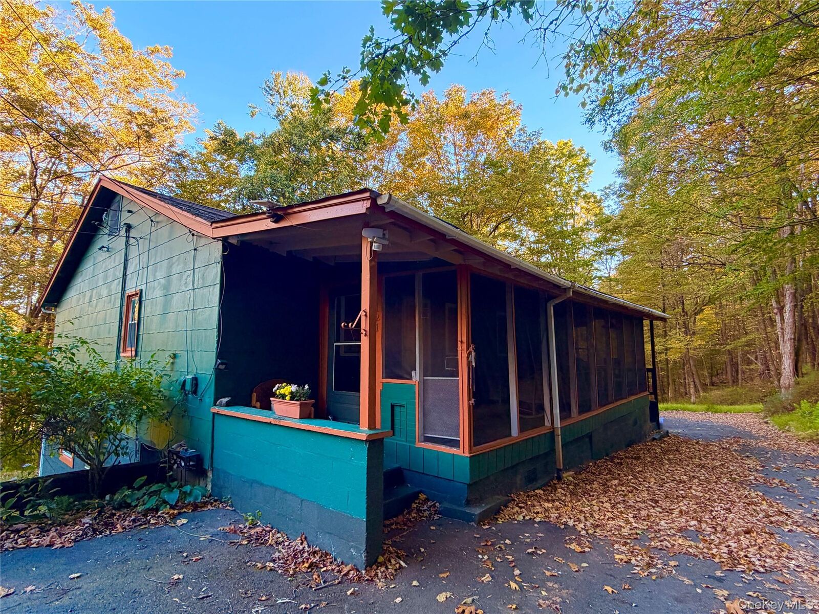 Property Photo: 113 121 Galligan Road NY 12729