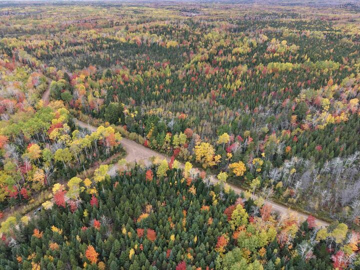 Property Photo:  100 Acres Mitchell Swan Road  NS B0K 1V0 