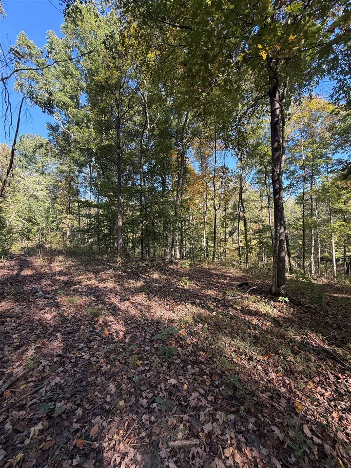 Property Photo:  0 Cornwell Road  KY 42164 