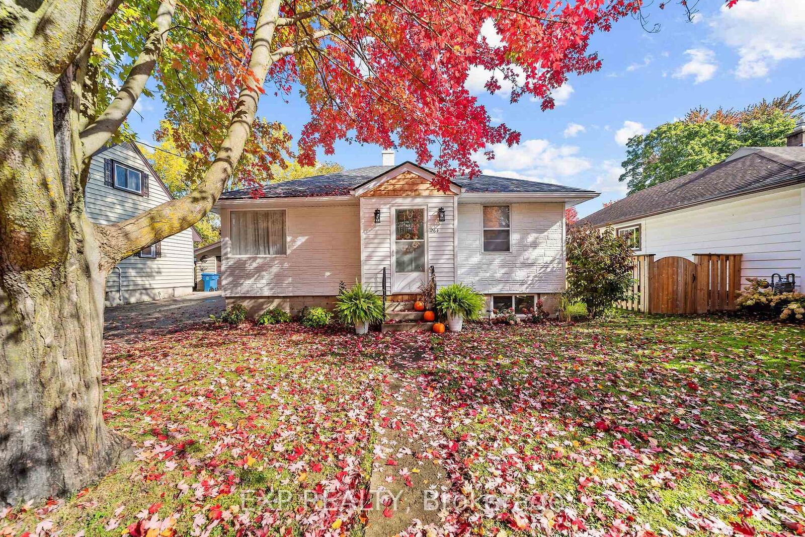 Property Photo:  264 Douglas Street  ON N5A 5R2 