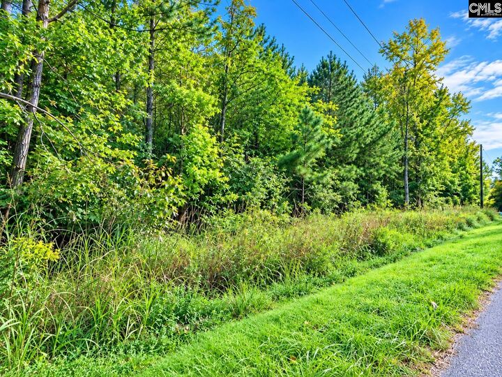 Property Photo: 667 Counts SC 29127