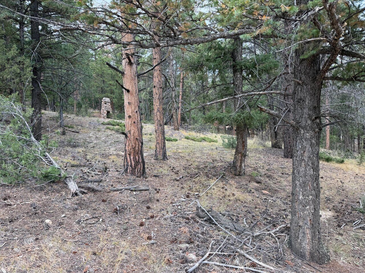 Property Photo: 0 Toboggan Rd CO 80470