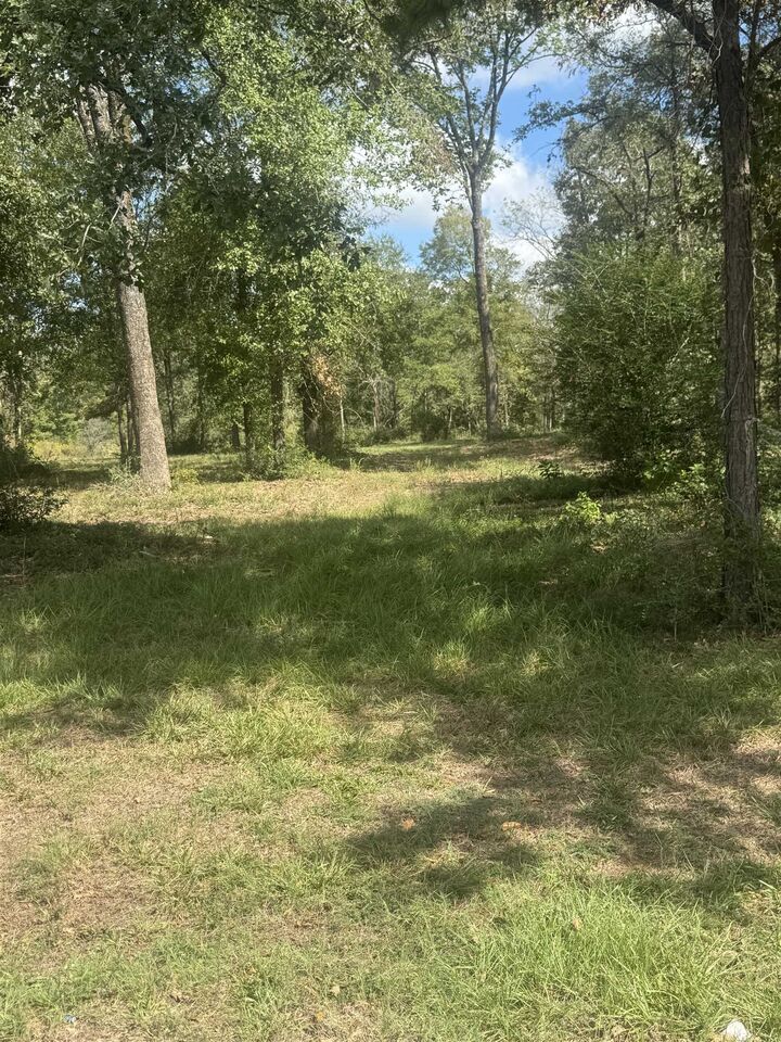 Property Photo: Tbd County Road 175 TX 75643