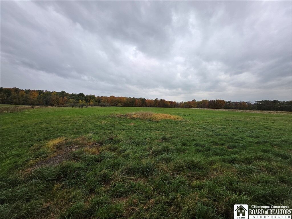 Property Photo: Campbell Road NY 14769