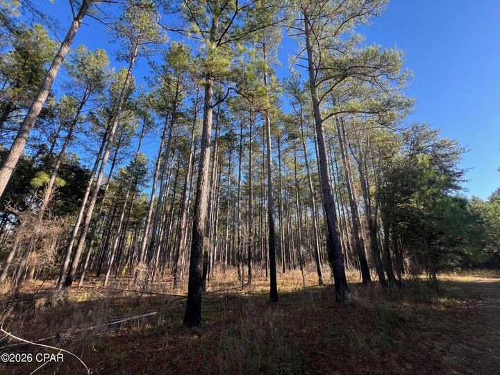 Property Photo:  3150 Highway 2  FL 32426 