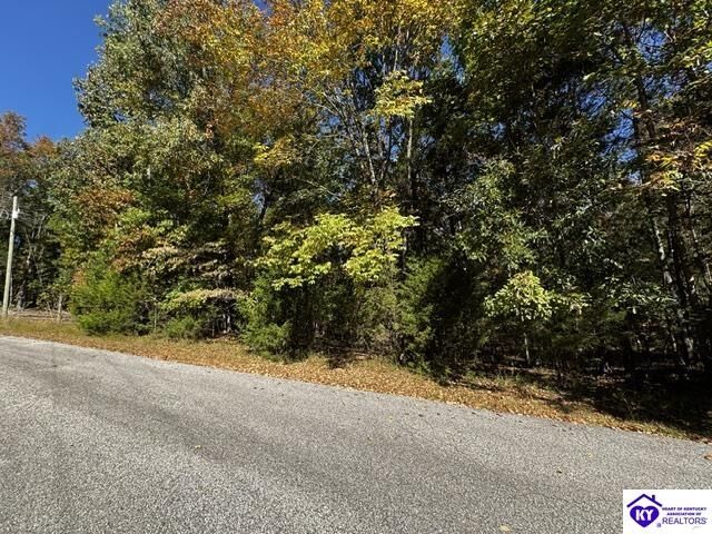 Property Photo:  Lot 99 Waxwing Road  KY 40108 