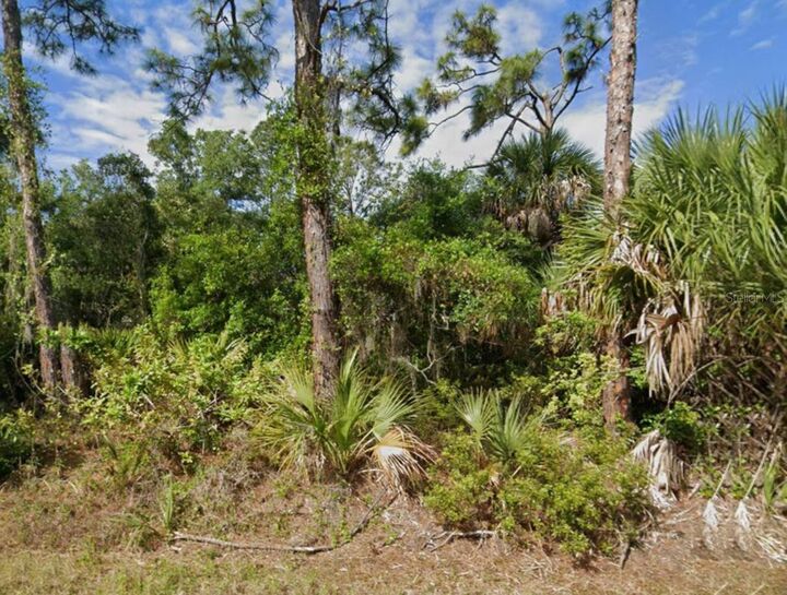 Property Photo: 1375 Hammacher Lane FL 33953