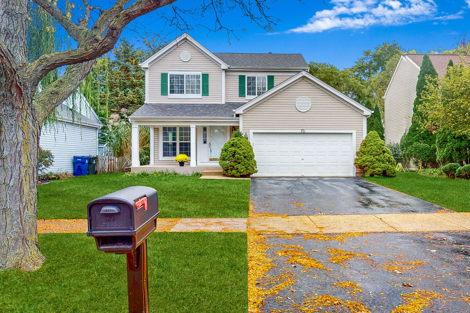 Property Photo:  711 Violet Circle  IL 60540 