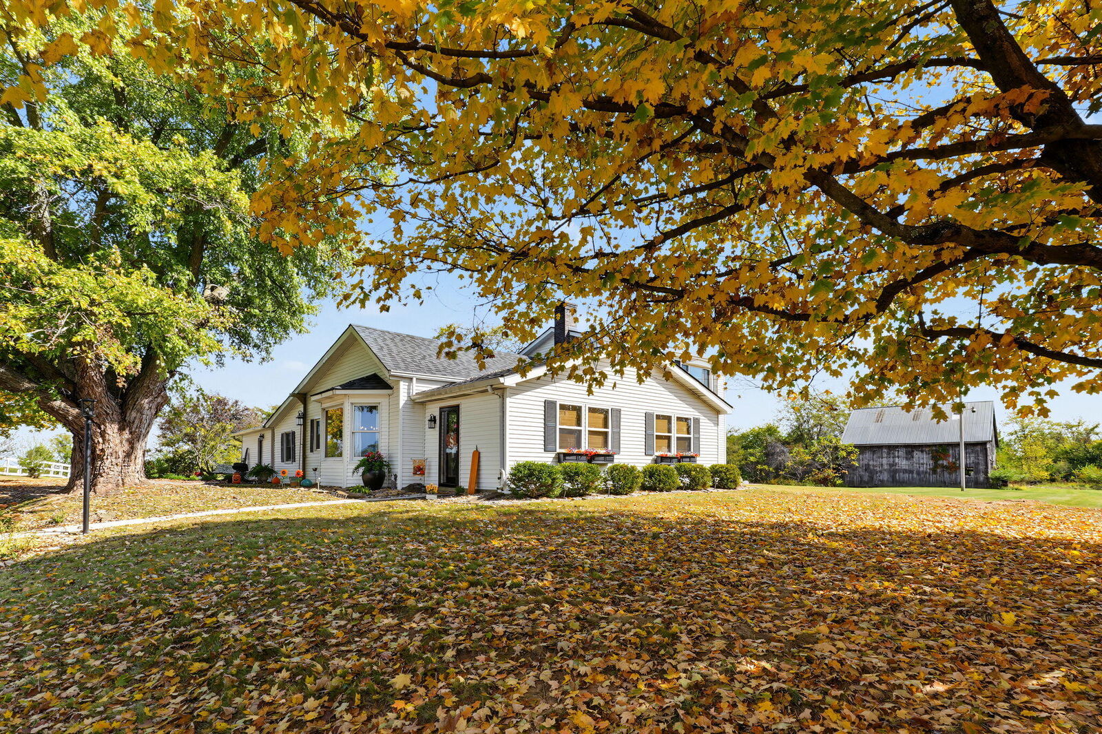 Property Photo: 3520 Moffett Road KY 41063