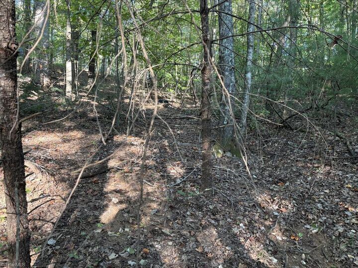 Property Photo:  00 Smith Lane  VA 24317 