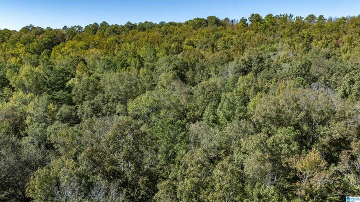 Property Photo: 1130 Lakeside Drive 10 AL 35111