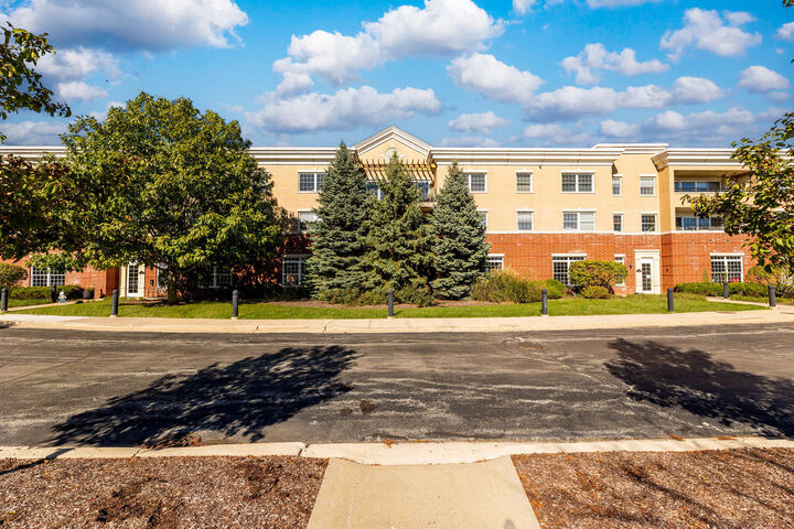 Property Photo:  59 Old Frankfort Way 213  IL 60423 