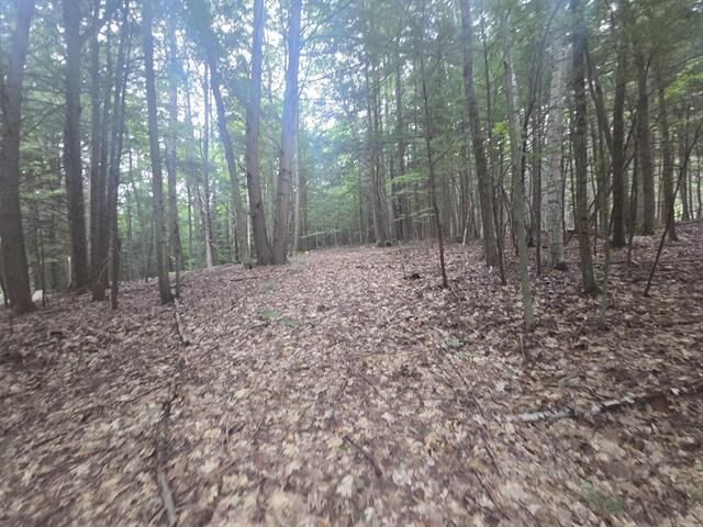 Property Photo: Map 09 Lot 30 Gould Pond Road NH 03244
