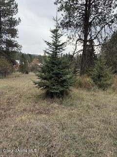 Property Photo:  Nna S Last Chance Rd  ID 83814 