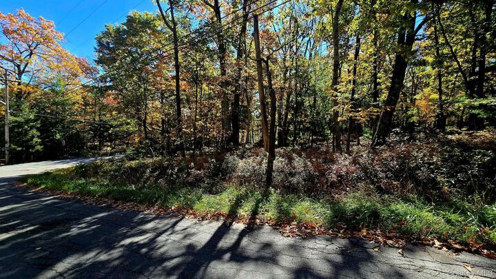 Property Photo:  Chestnut Street W  NY 12790 