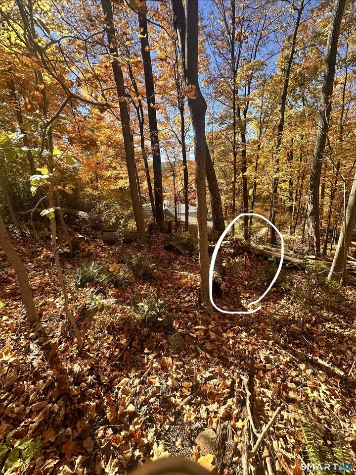 Property Photo: Juniper Drive CT 06776