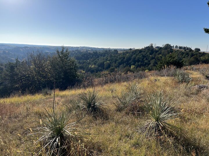 Property Photo:  8761 E Detour Rd  NE 69170 