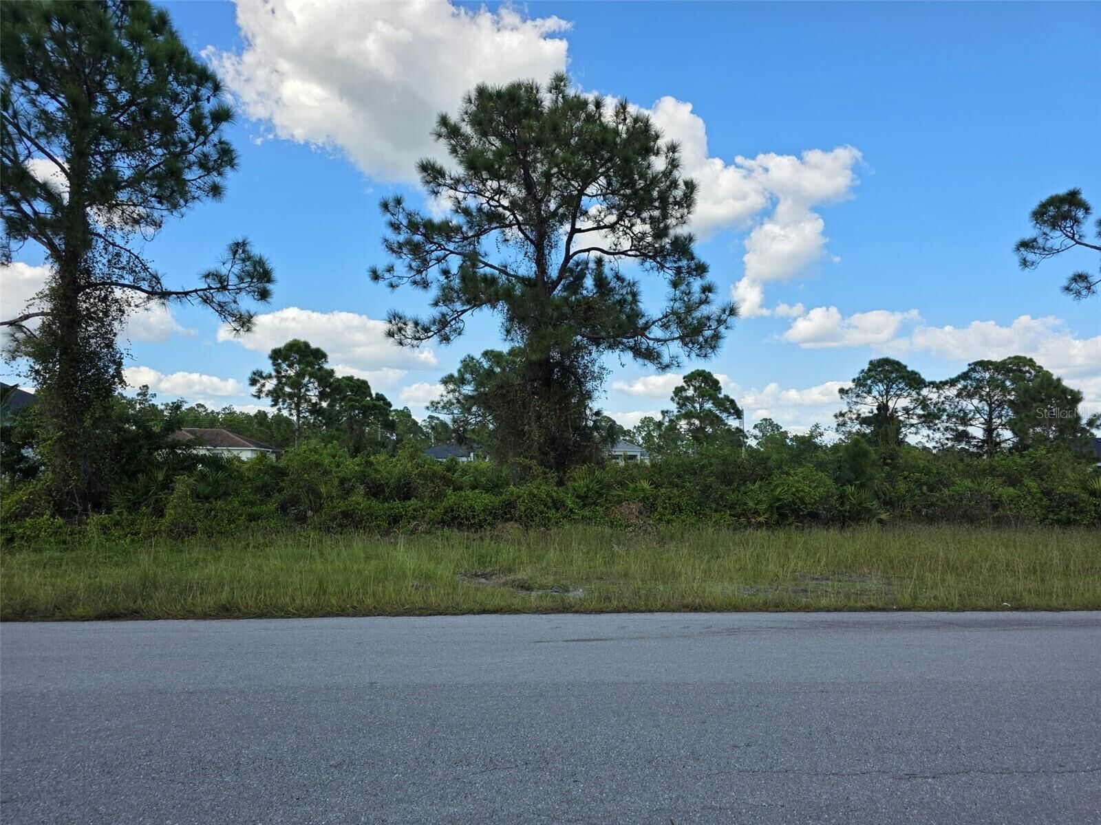 Property Photo: 1115 Jaguar Boulevard FL 33974