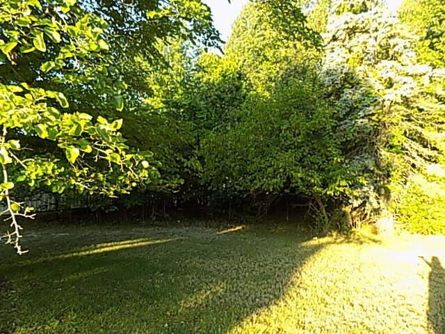 Property Photo:  000 Red Arrow Highway  MI 49127 