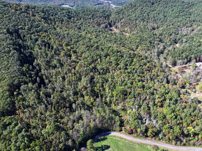 Property Photo:  Tract 1 Shoal Creek Road  NC 28906 