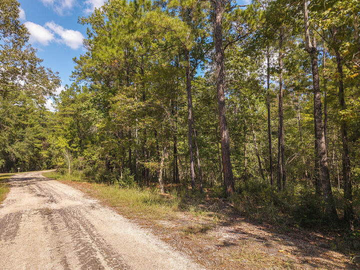 Property Photo:  Lot 139 Deergrass Drive  TX 75931 