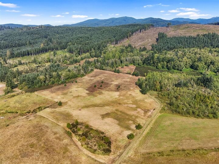 Property Photo:  104  Bills Lane  WA 98570 