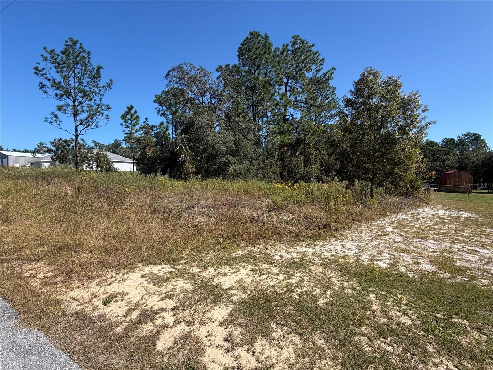 Property Photo: Lot 42 SW Azalea Court FL 34431
