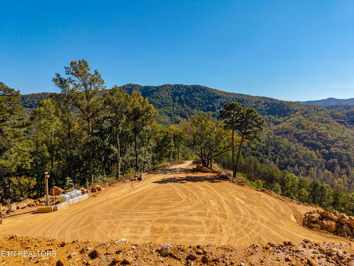 Property Photo:  Patty View Way  TN 37862 