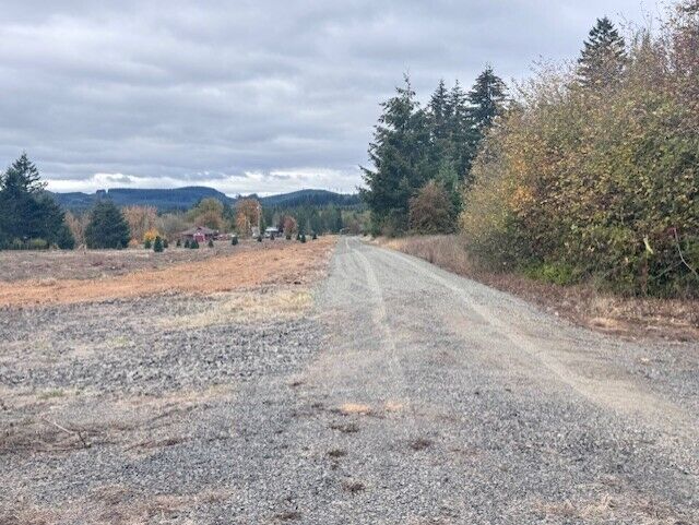 Property Photo: 0 Tennessee Road Lot 3 WA 98596