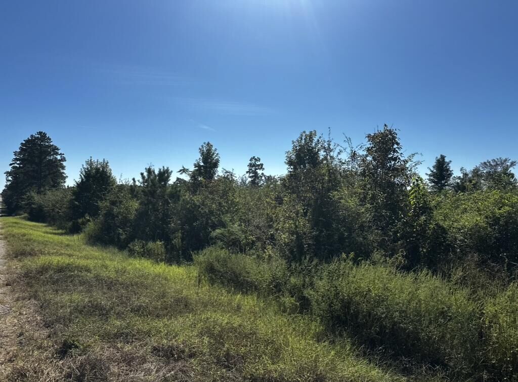Property Photo:  0 Ed Tolar Rd  AL 36370 