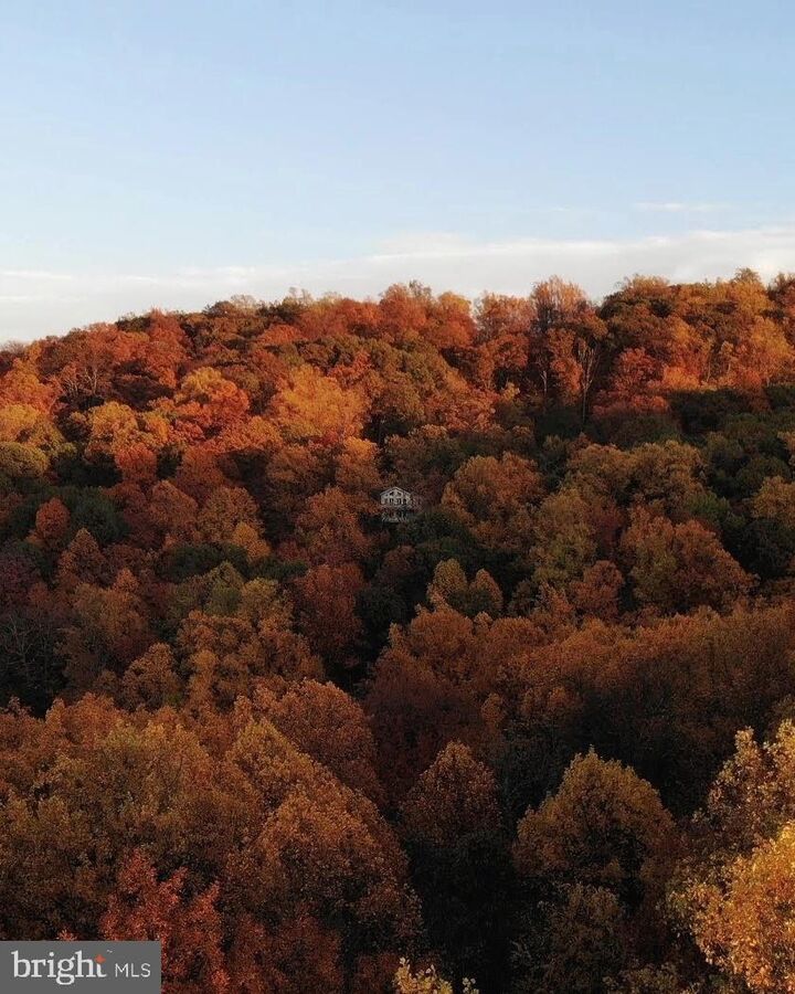 Property Photo:  2168 High Top Road  VA 22642 