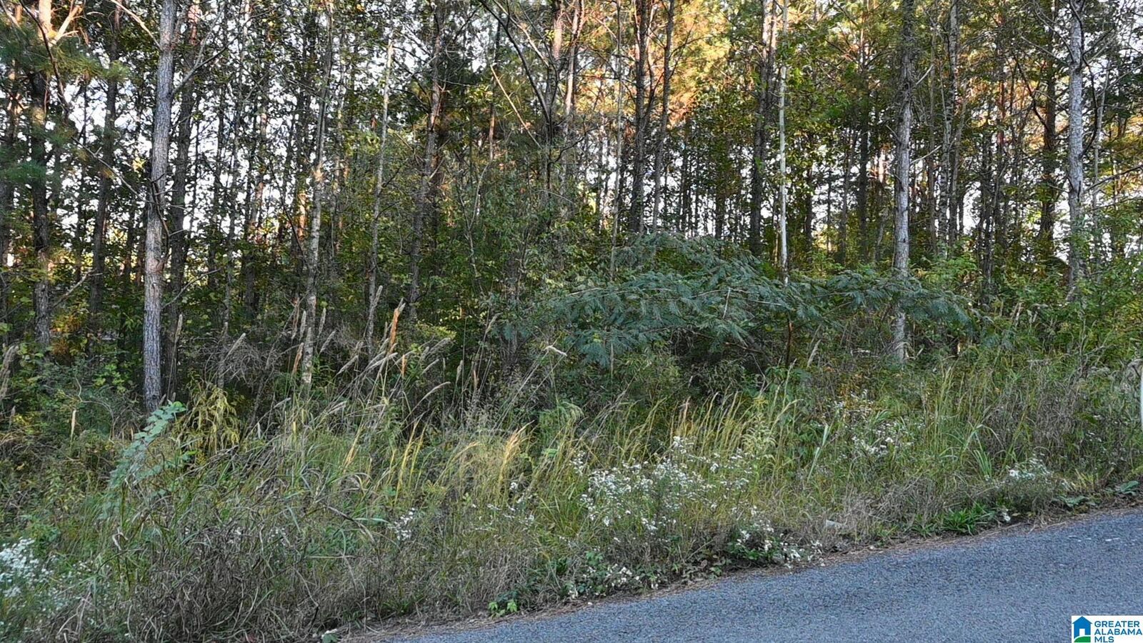Property Photo:  0 Willowbrook Court Lot 21  AL 35049 