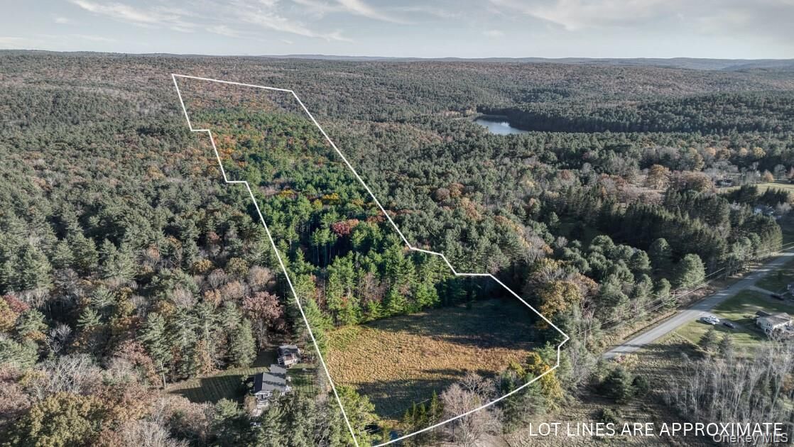 Property Photo:  Lot 22.1 Crawford Road  NY 12792 