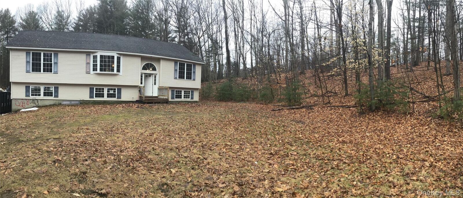 Property Photo:  272 Echo Road  NY 12721 