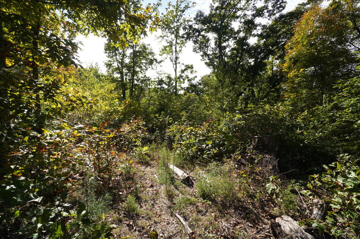 Property Photo:  00 Brotherton Road  TN 37760 