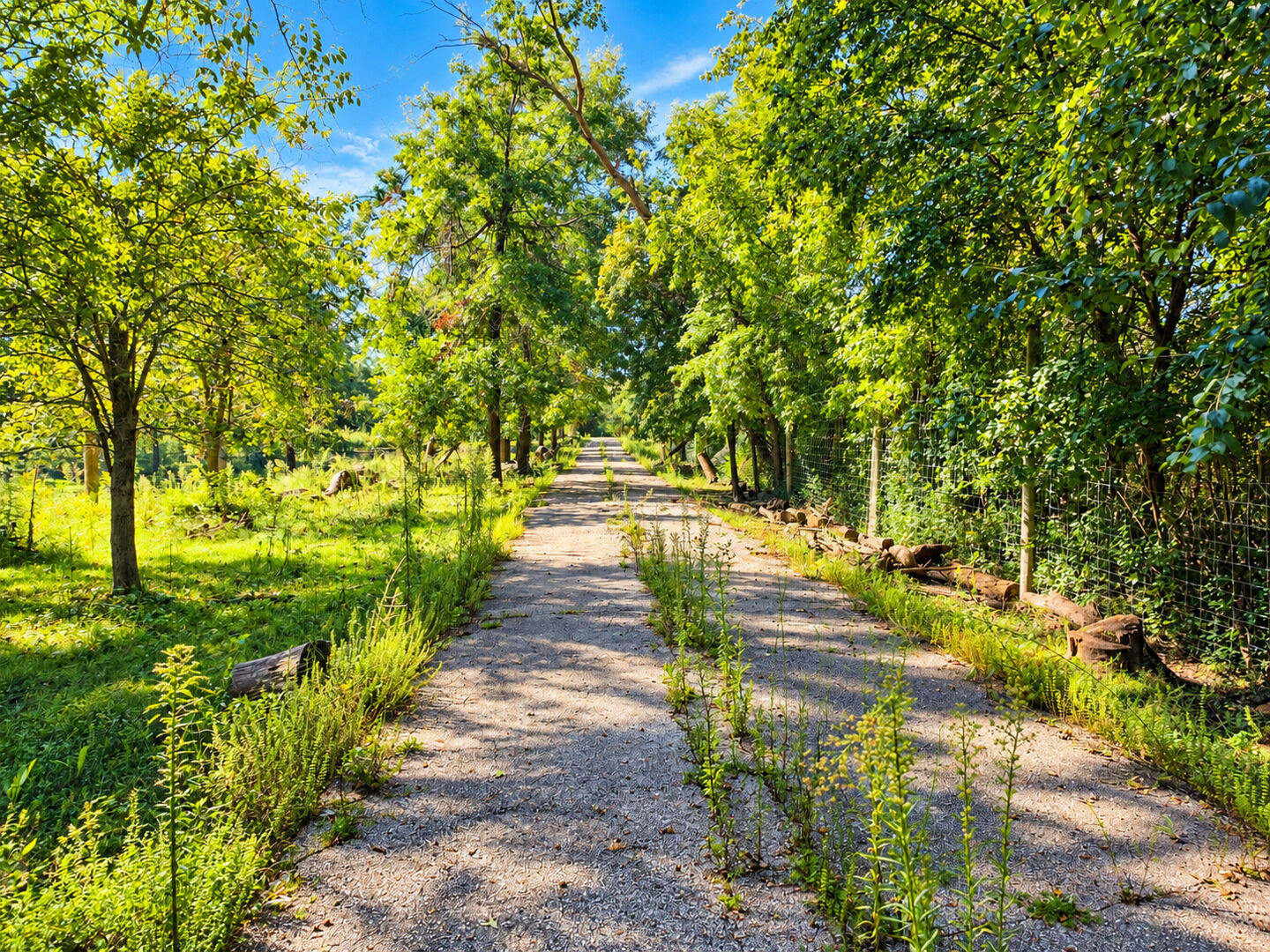 Property Photo:  16115 W Russell Road  IL 60083 